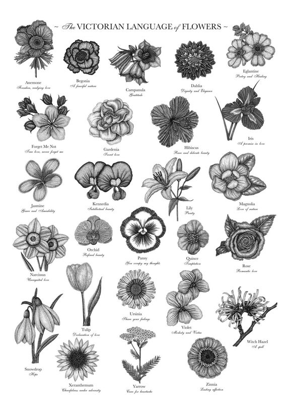Victorian Language of Flowers Print - A to Z of Flowers - Flower
