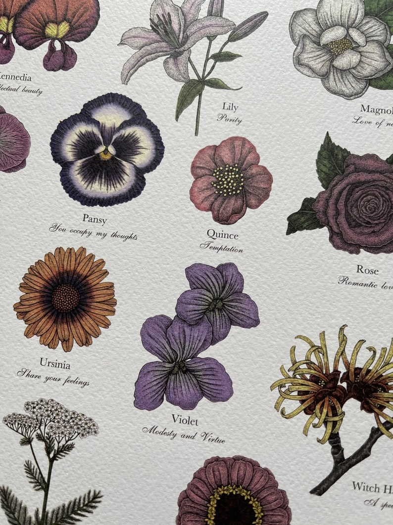 Victorian Language of Flowers Colour A3 Print A to Z Flowers Etsy