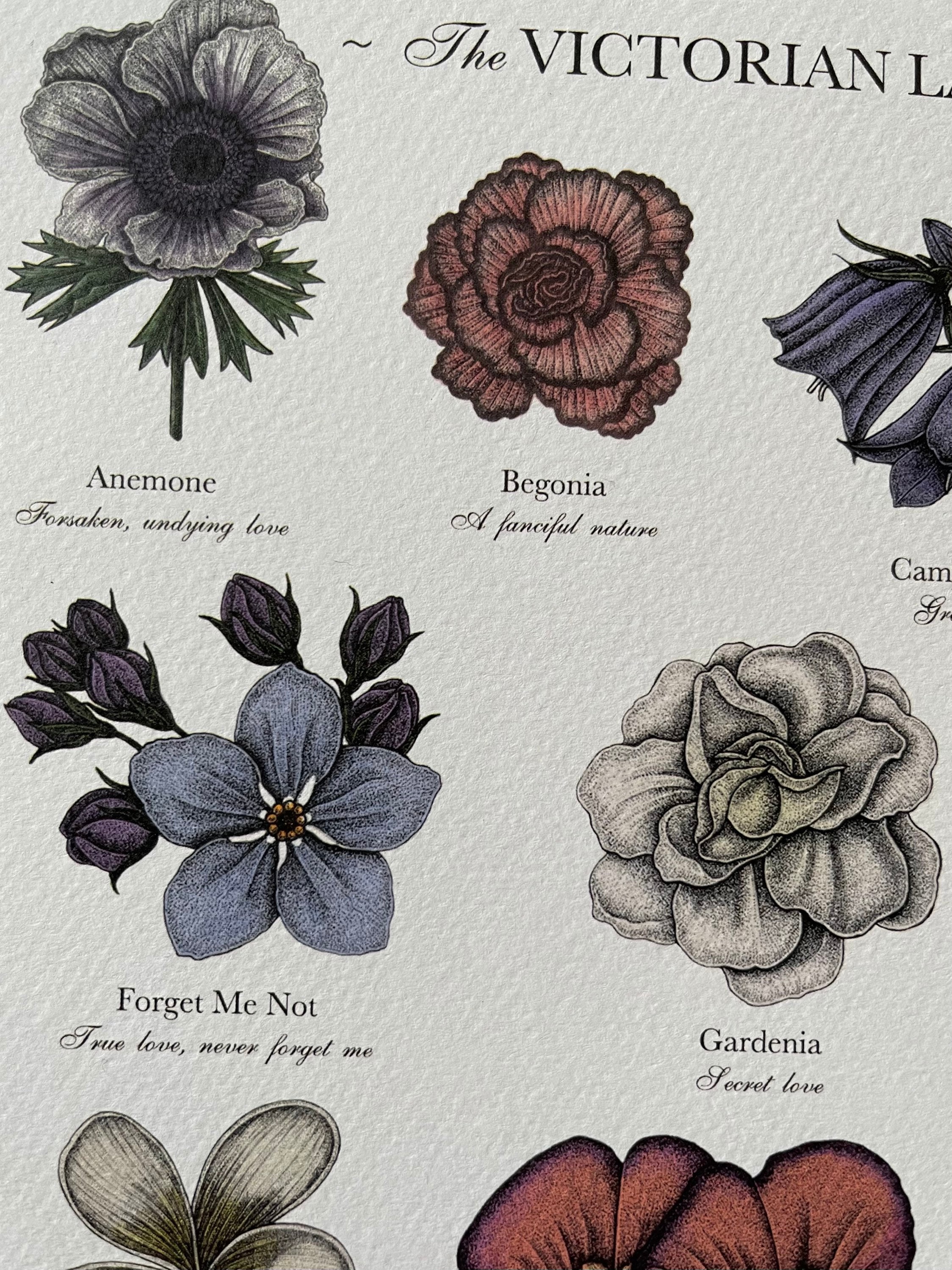 Victorian Language of Flowers Colour A3 Print A to Z Flowers Etsy