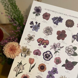May include: A vintage style illustrated chart of flowers with their Victorian language meanings. The chart features a variety of flowers, including anemone, begonia, campanula, forget-me-not, gardenia, jasmine, kersveila, lily, magnolia, narcissus, orchid, pansy, poppy, quince, rose, snowdrop, tulip, umbellia, violet, yarrow, and witch hazel.