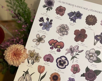Victorian Language of Flowers Colour A3 Print - A to Z Flowers - Flower Alphabet - Floriography - Floral Print - Victorian Flower Meanings