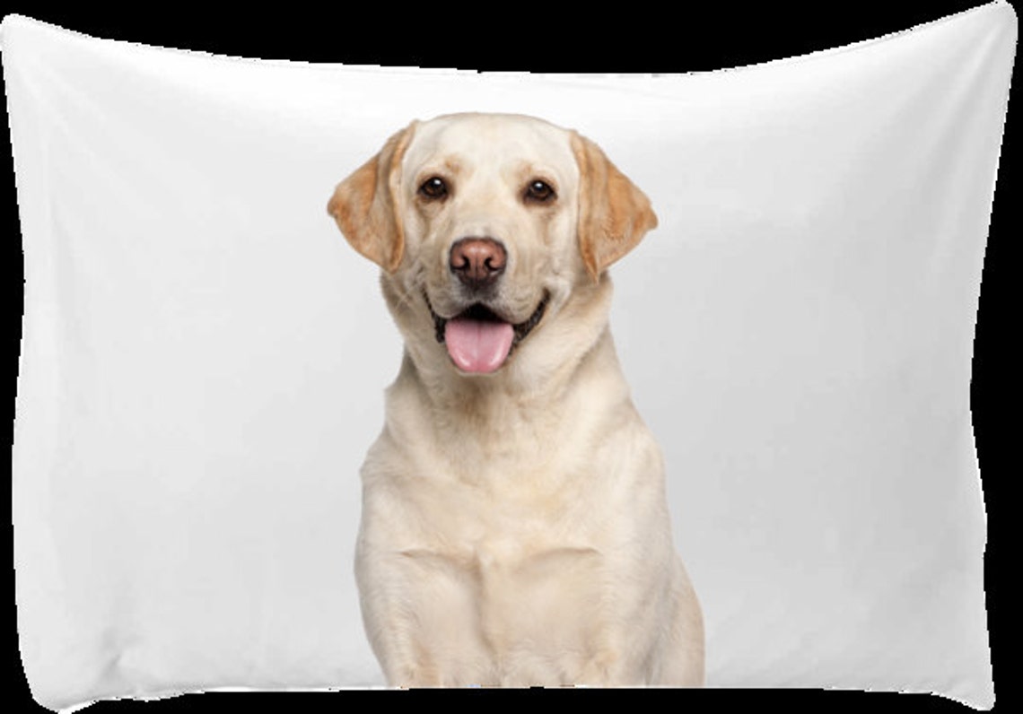 Dog Pillow Case Personalized Pillow Case With a Picture of Etsy