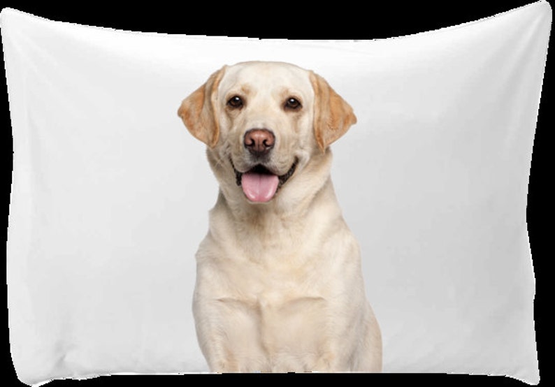 Dog Pillow Case Personalized Pillow Case With a Picture of Etsy