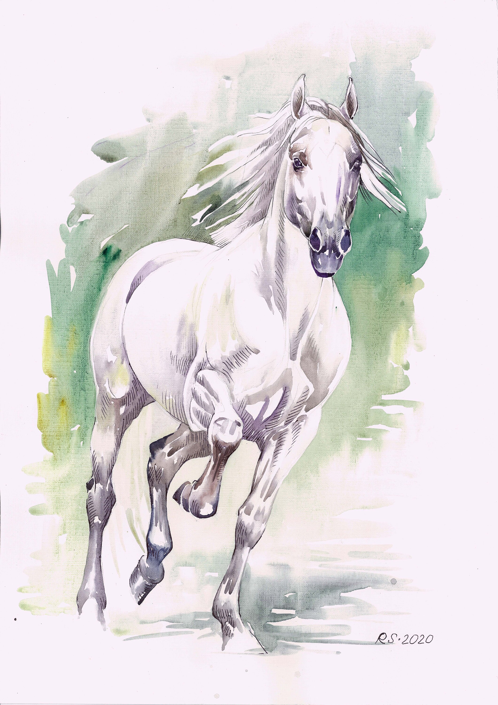 16 Wild White Horse painting 11.616.5 inches Art Print from Etsy
