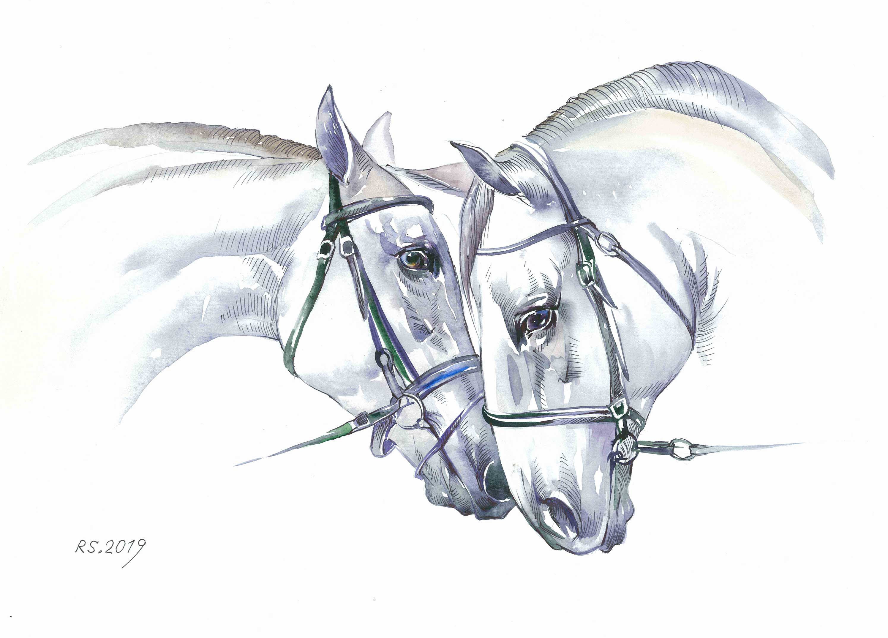 66 White Horses painting 11.6x16.5 inches Art Print from the Etsy