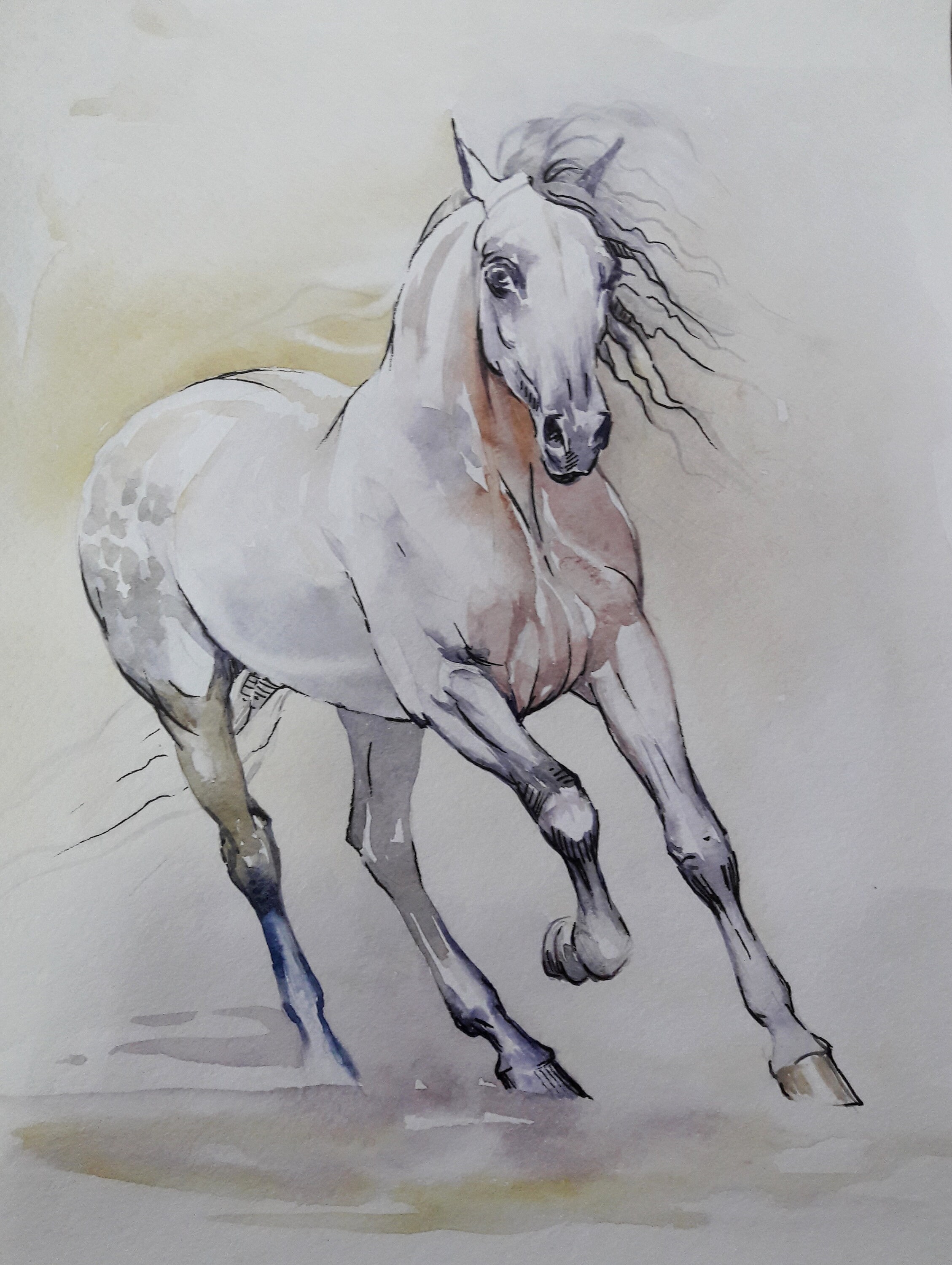 4 Wild White Horse painting 11.616.5 inches Art Print from Etsy