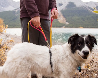 Double Handle Biothane Leash with built in traffic handle, dog lead perfect for adventures or city walks