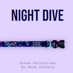 Night Dive: Dog collar made from recycled webbing, quick release buckle, Ocean themed, customizable with dog&#39;s information