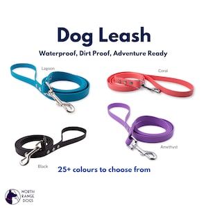 Waterproof Dog leash made from Biothane, dog lead, custom dog leash, perfect for hiking or dog walks, great gift for dog lovers