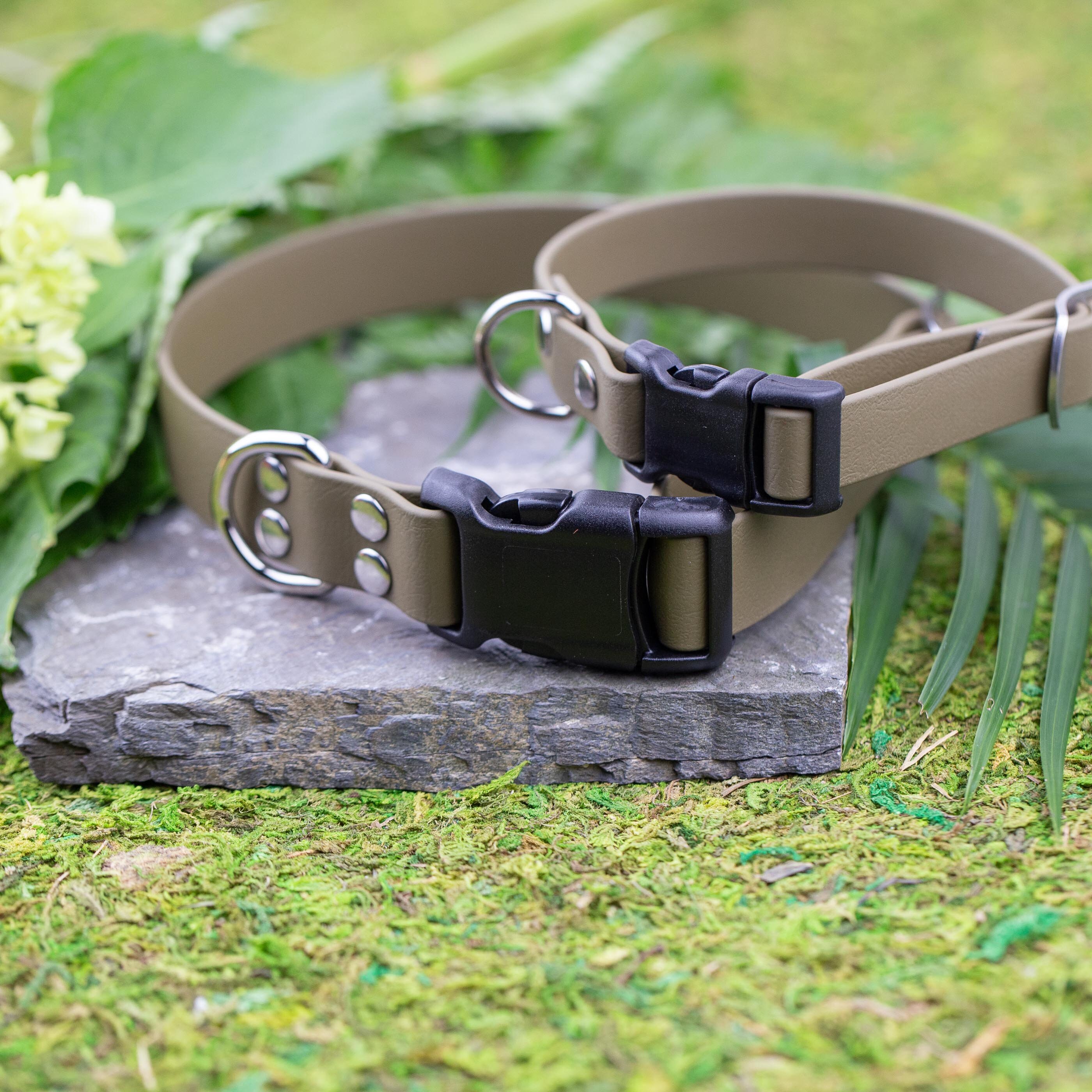 Olive Green Dog Collar Collar de perro biotano impermeable listo para la aventura Collar de perro ajustable con hebilla de liberacion rapida Etsy Mexico