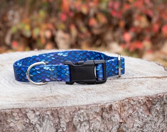 Blue Dragon Dog Collar, quick release dragon scale pattern collar, gift for dog lover or bookish fantasy reader, personalize with dog's info