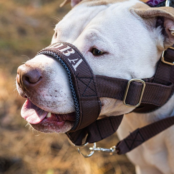Halti / Halter for the dog / Muzzle alternative Padded Head Collar Dog Training Halter Stops Dog Pulling Embroidery - Dog Head Collar