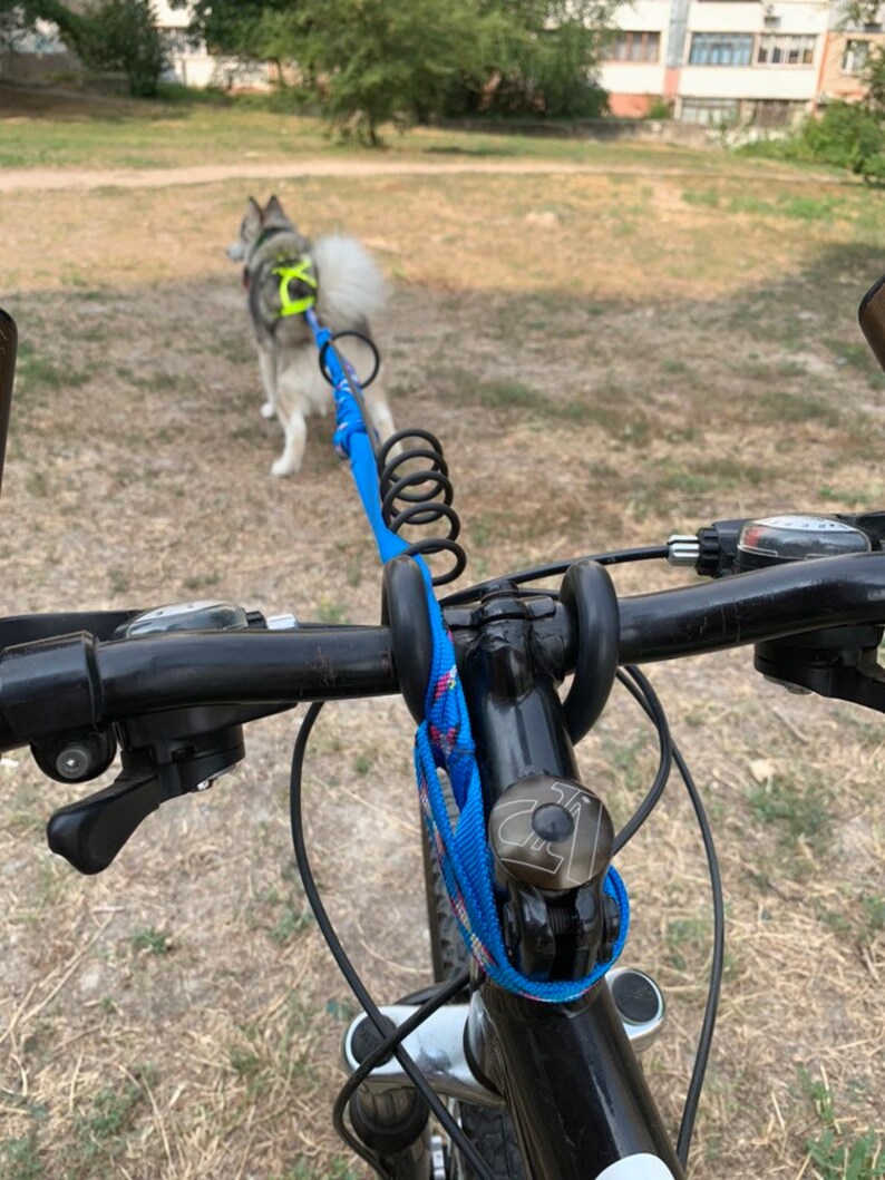 Bike Rods Bike Springer for Bikejoring Dog Scootering Bike Etsy