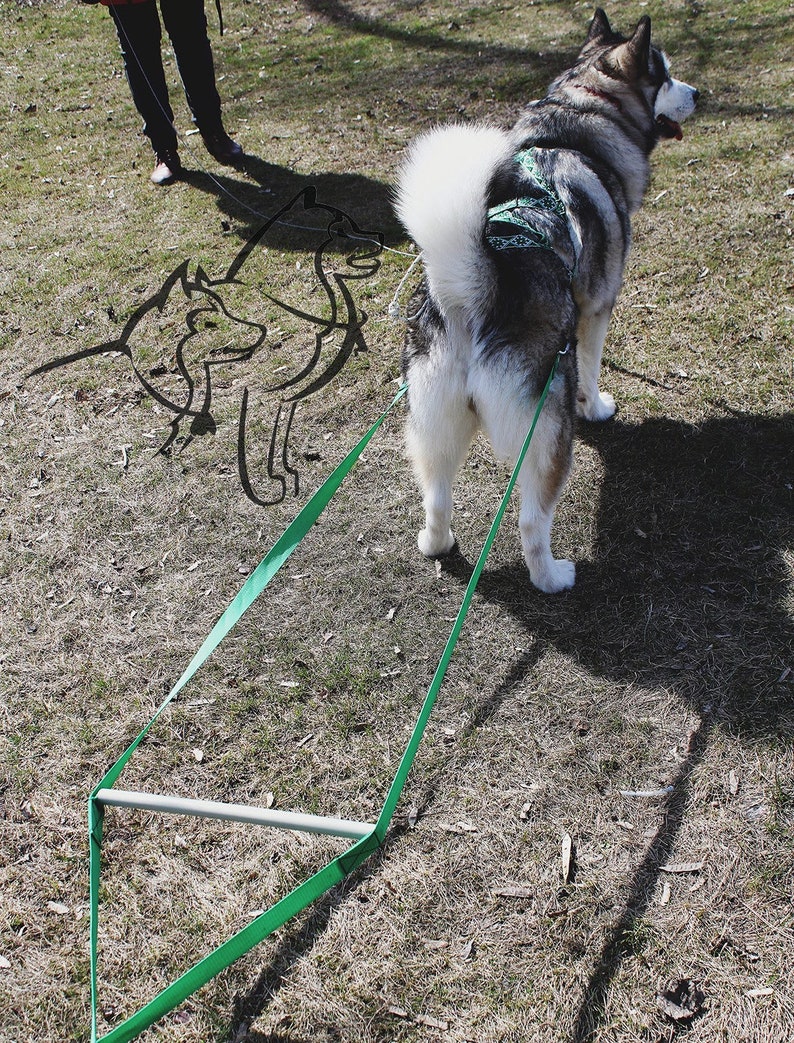 Universal harness for dogs sledding and weight pull harness Etsy