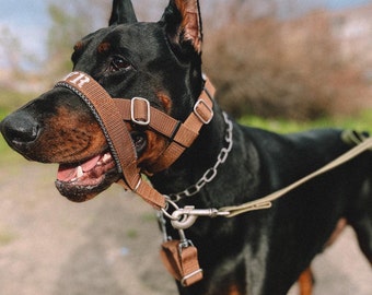 Halti / Halter for the dog / Muzzle alternative Padded Head Collar Dog Training Halter Stops Dog Pulling Embroidery - Dog Head Collar-Metal