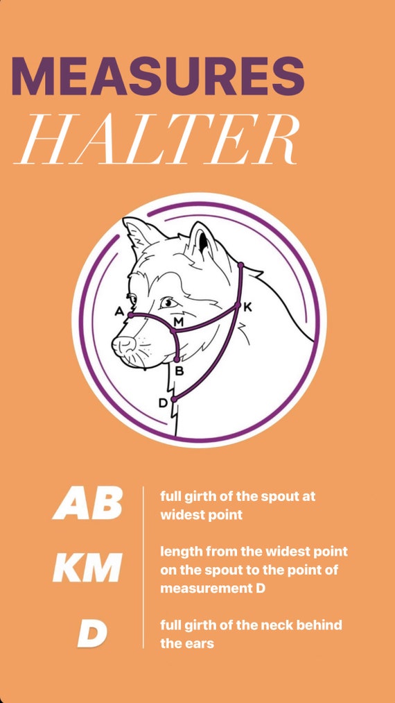 Halti / Halter for the Dog / Muzzle Alternative Padded Head Collar Dog  Training Halter Stops Dog Pulling Embroidery Dog Head Collar 