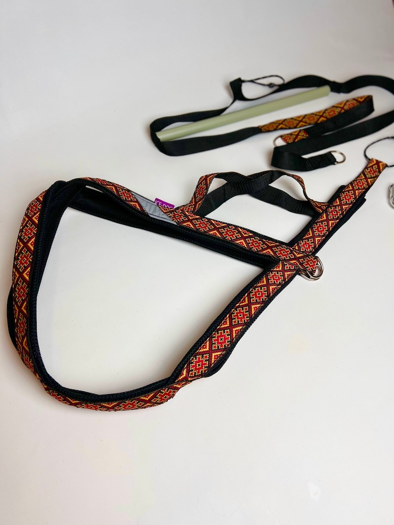 以下が含まれることがあります： 黒と赤の模様のついた犬用ハーネス。金属製のリングと黒いストラップが付いています。ハーネスはトレーニング用で、緑と白のポールが付いた長い黒いストラップが付いています。