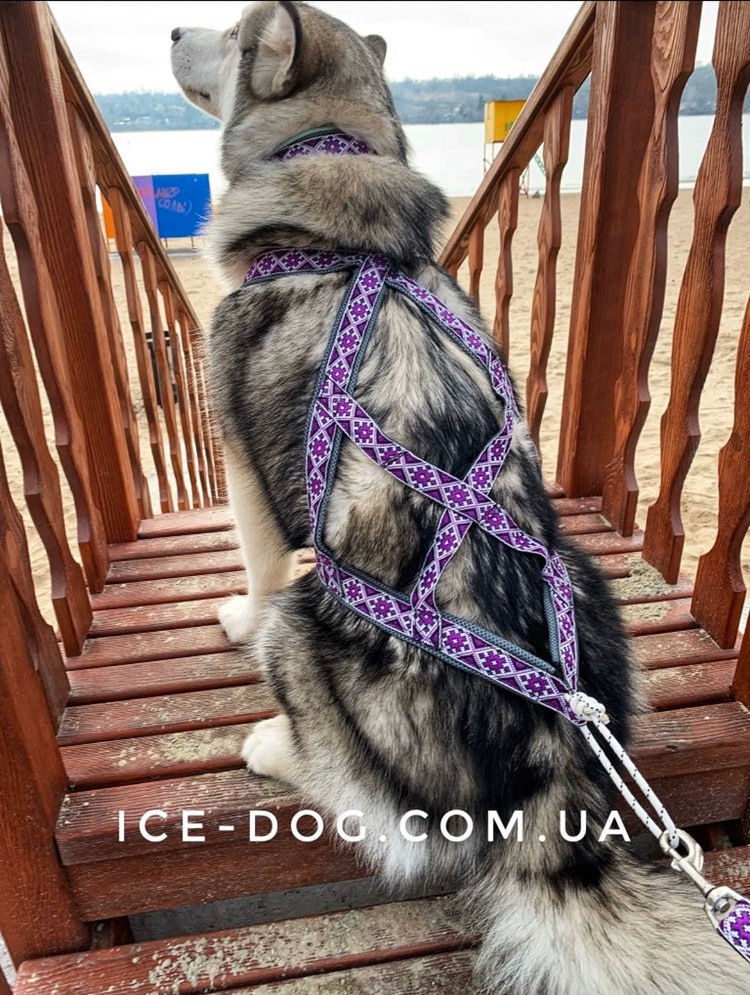 Sleddog Harness for Sledding, Bikjoring, Skijoring, Canicross