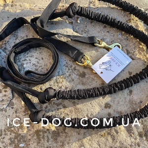 Bikejoring Tow Line Bungee Shock Absorber for Dog Lead for two dogs