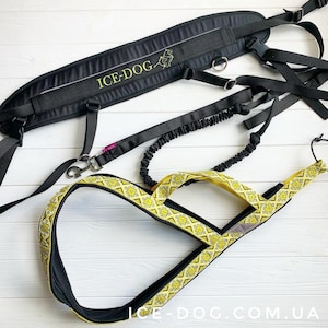 Canicross y kit de seguimiento de perros, arnés de trineo, línea de remolque y cinturón de canicross para perros de todas las razas, mezcla de husky, malamute, border collie, pastor