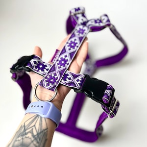 Anatomical Walking Dog Harness Y-type