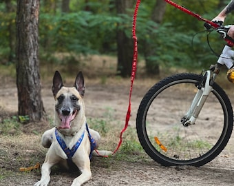 Antena de bicicleta para bikejoring, bicicleta con resorte para bikejoring, patinete para perros, varilla de bicicleta
