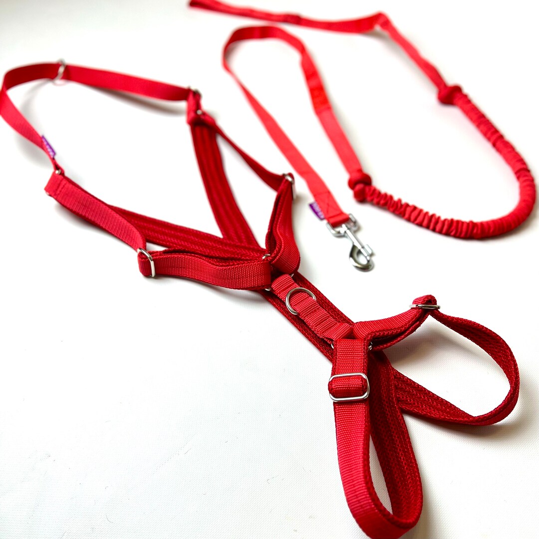 Set of Sled Dog Harness Open Back and Tow Line for Bikejoring