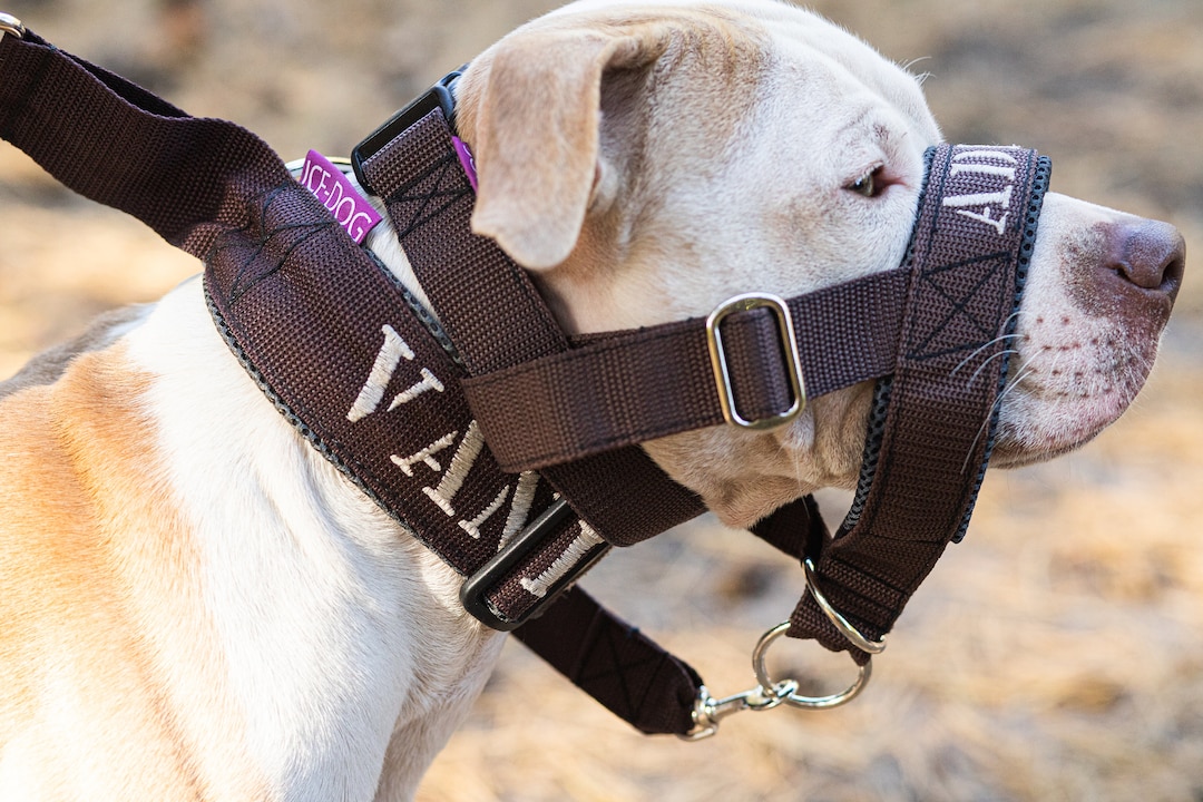 Set of Collar and Halter for the Dog / Muzzle Alternative Padded Head Collar Dog Training Halter
