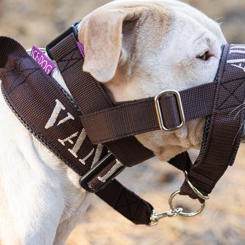 Halti / Halter for the Dog / Muzzle Alternative Etsy