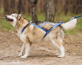 Sleddog harness for sledding, bikjoring, skijoring, canicross scootering for malamutes husky samoed x-back