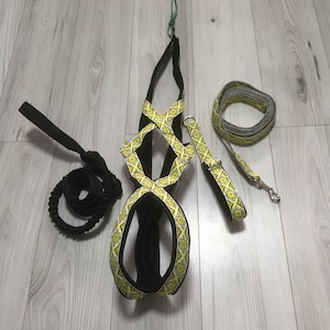 Set voor canicross, bikejoring, skiijoring, scootering of harnastrekkende kraag-half pusher husky malamute samoed