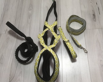 May include: A black dog harness with yellow and white geometric pattern, a black leash with a loop, and a yellow and white patterned leash.