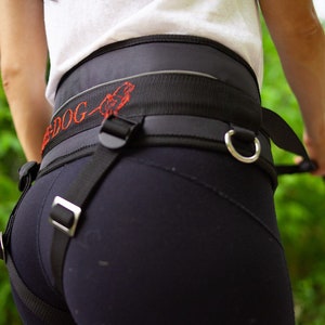Belt for a canicross - skiijoring - dog tracking - husky malamute - sleddog