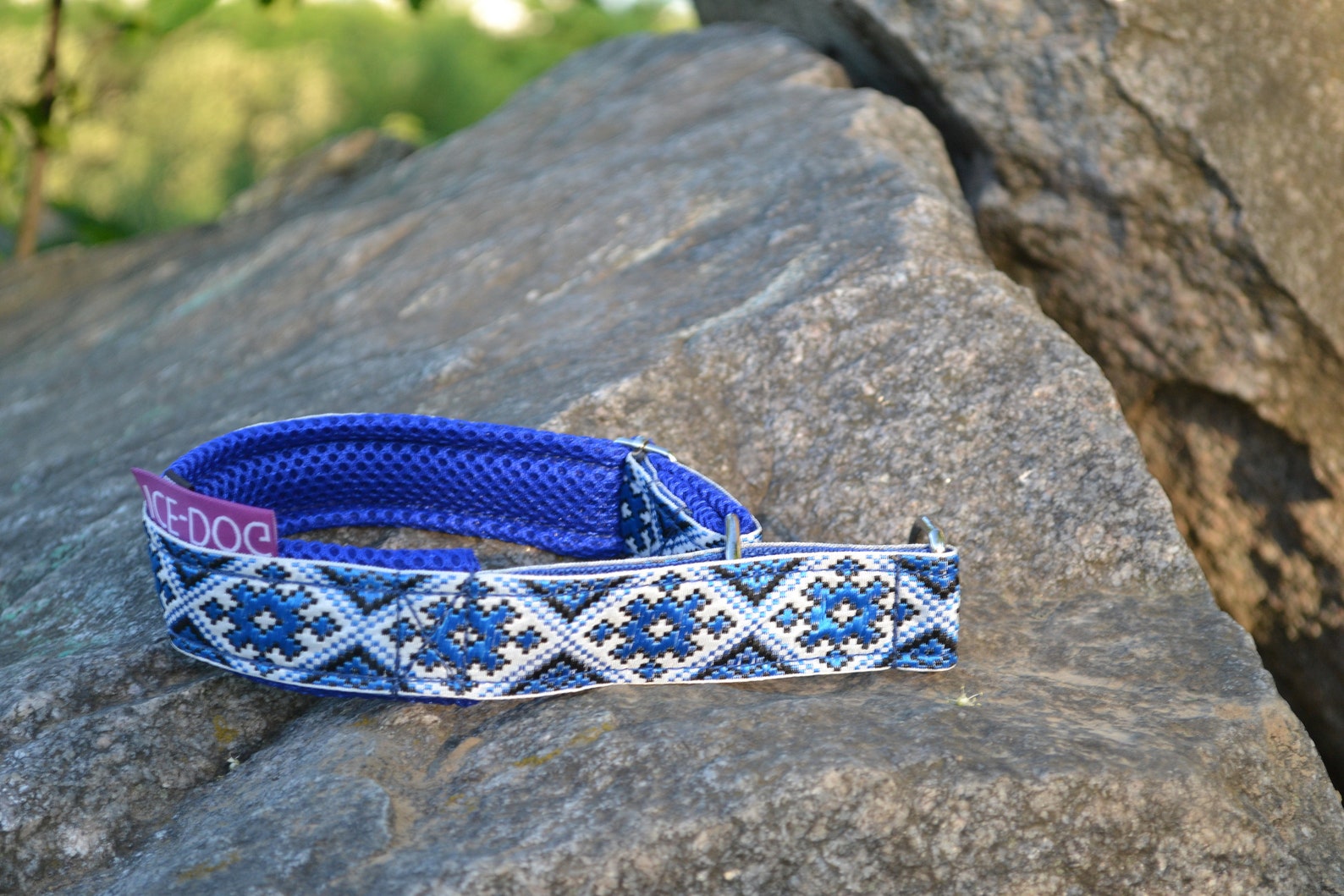 Martingale Collar for Dogs Husky Malamute Samoed Etsy