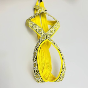 May include: Yellow dog leash with a black and white geometric pattern.