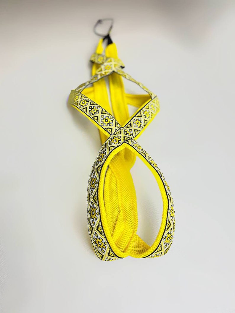 May include: Yellow dog leash with a black and white geometric pattern.