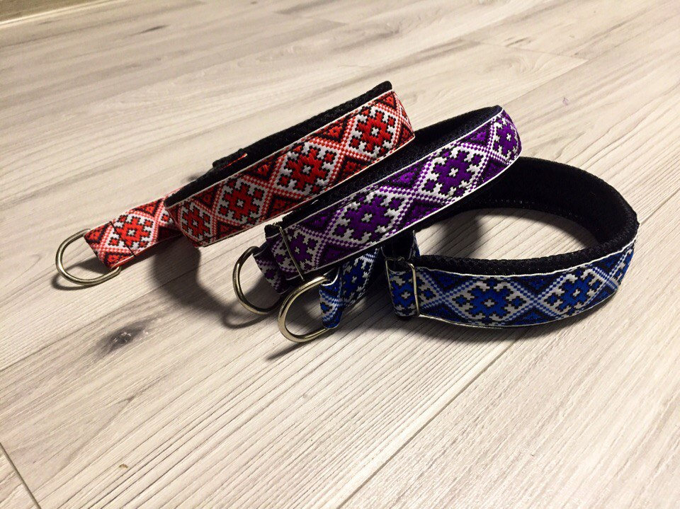 Martingale Collar for Dogs Husky Malamute Samoed Etsy