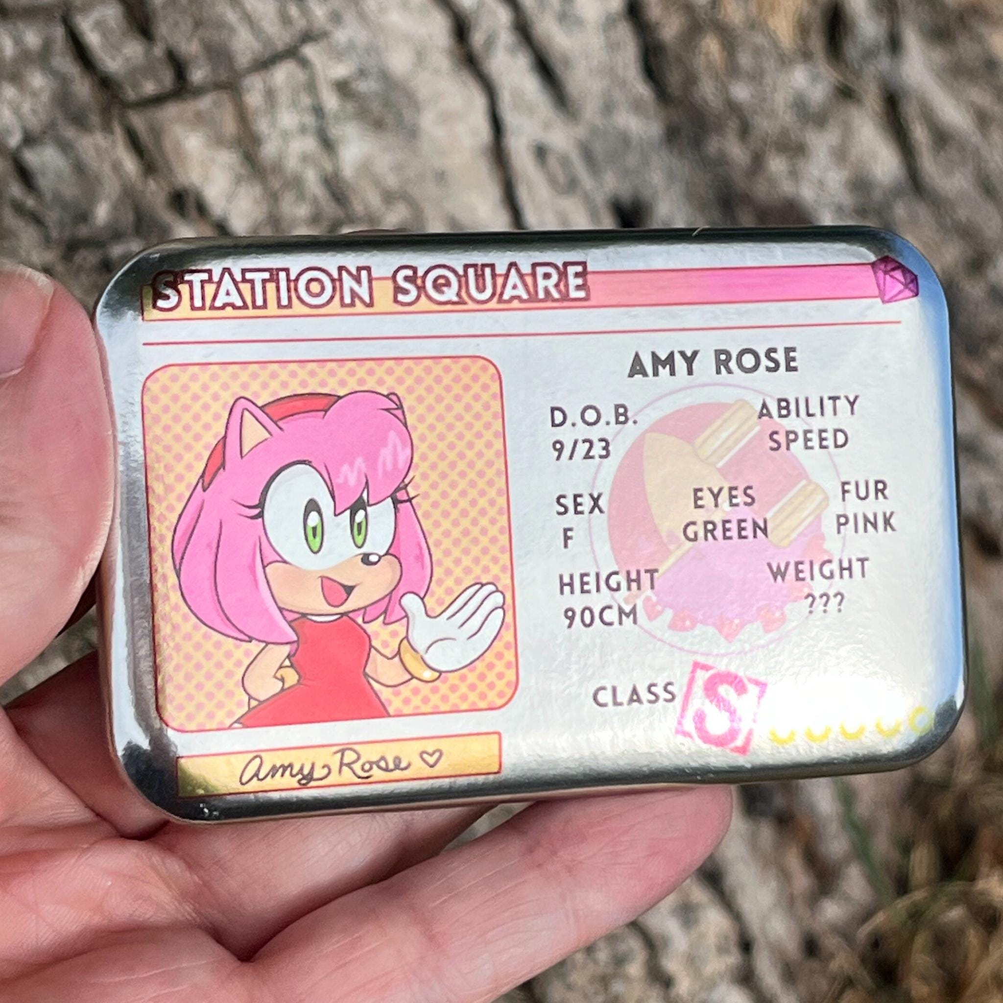 Rectangle Driver's License Badges Featuring Sonic, Knuckles, Tails ...