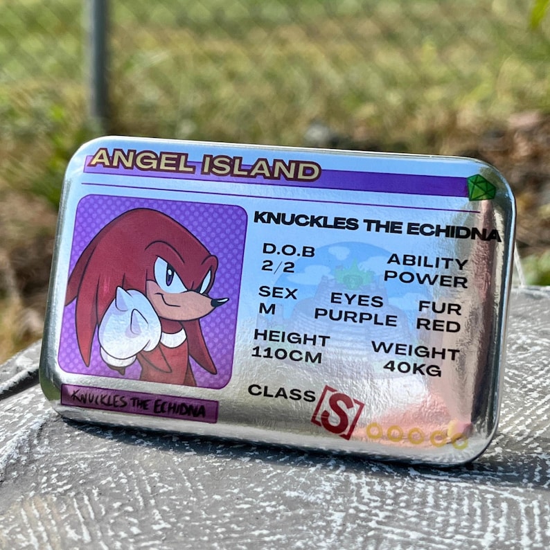 Rectangle Driver's License Badges Featuring Sonic, Knuckles, Tails ...