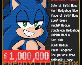 Sonic the Hedgehog Wanted Poster 11 x 14 Sonic Adventure 2