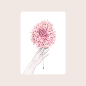 CARTOLINA.DALIA ROSA.Cartolina con busta.Fiore di dalia.Auguri.Festa della mamma.Un fiore per te.Stampa da illustrazione originale.Dolcezza