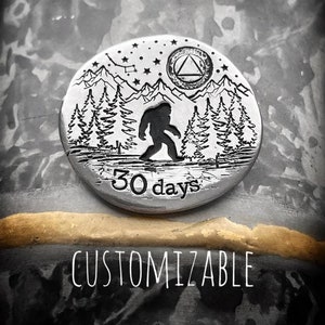Sobriety token, sobriety coin, recovery token, recovery coin, sobriety chip, recovery chip, 365 days sober, 30 Days sober, AA Medallion