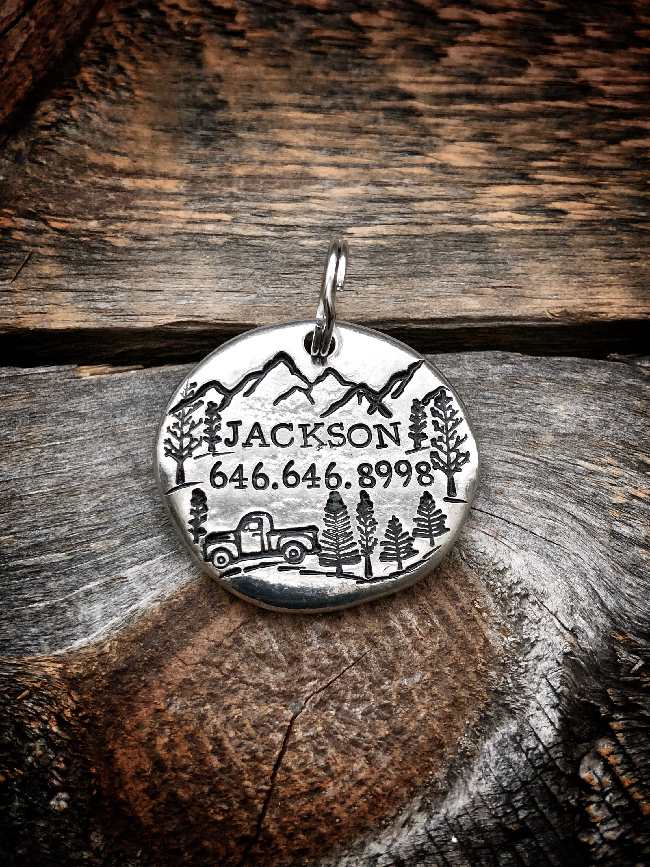 Étiquette d'identification Pour Animal de Compagnie, Plaque Chien, Étiquette Animaux d'animal Person