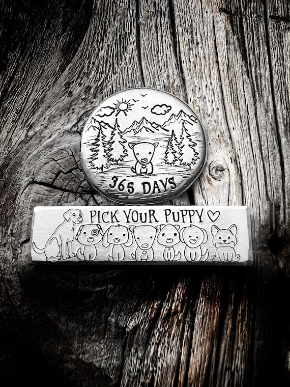 Sobriety Token, Sobriety Chip, Recovery Token, Recovery Chip, Sobriety Gift, Sobriety, Clean Token, Clean Chip, AA Medallion, NA Chip, Gift