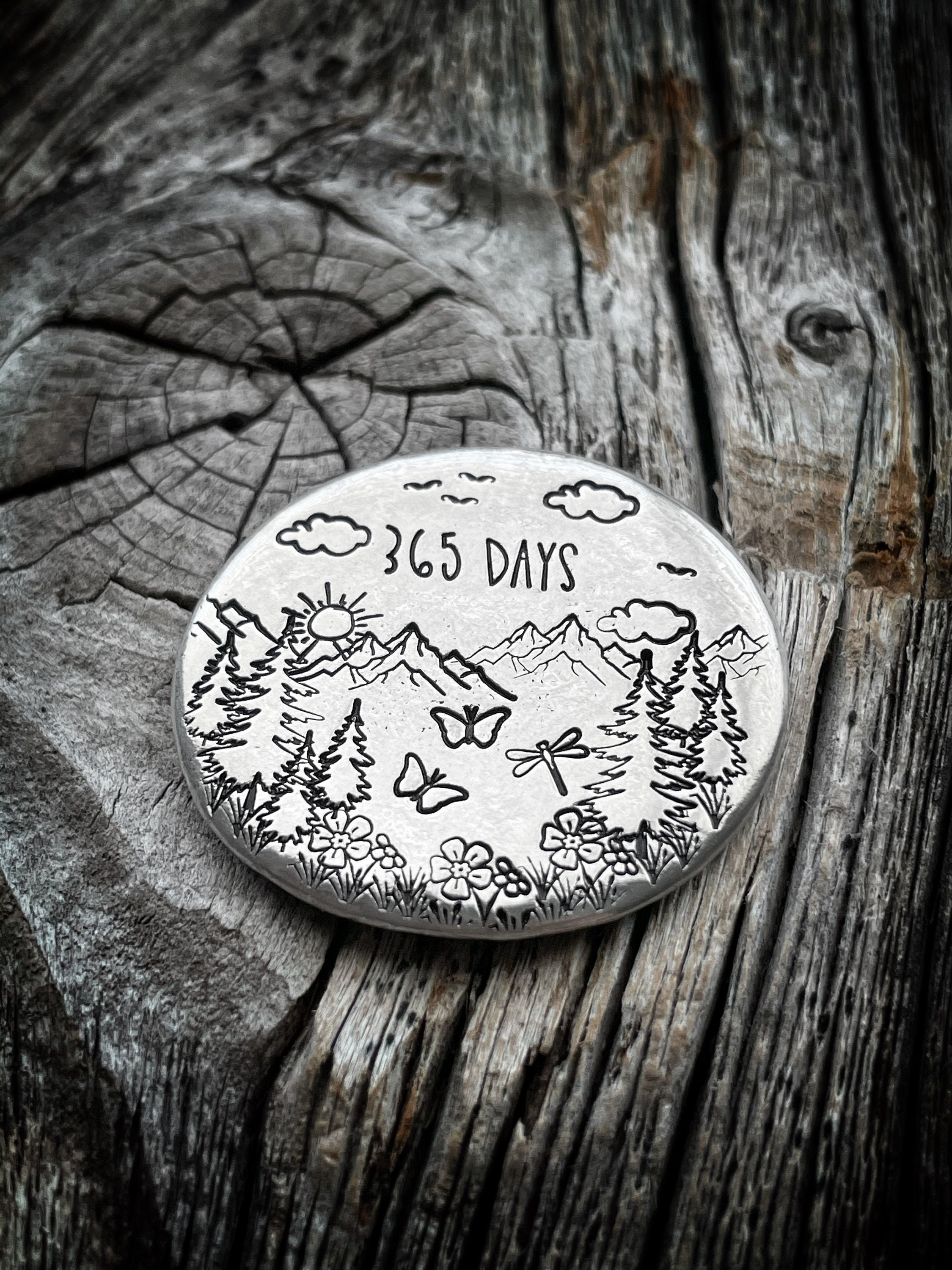 Sobriety Narcotics Sobriety Token Coin Alcoholic Sobriety Etsy