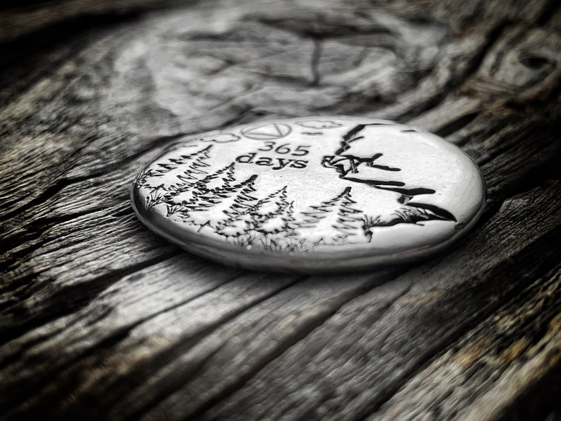 May include: A silver round disc with a design of trees and the text "365 days" engraved on it. The disc is resting on a piece of weathered wood.