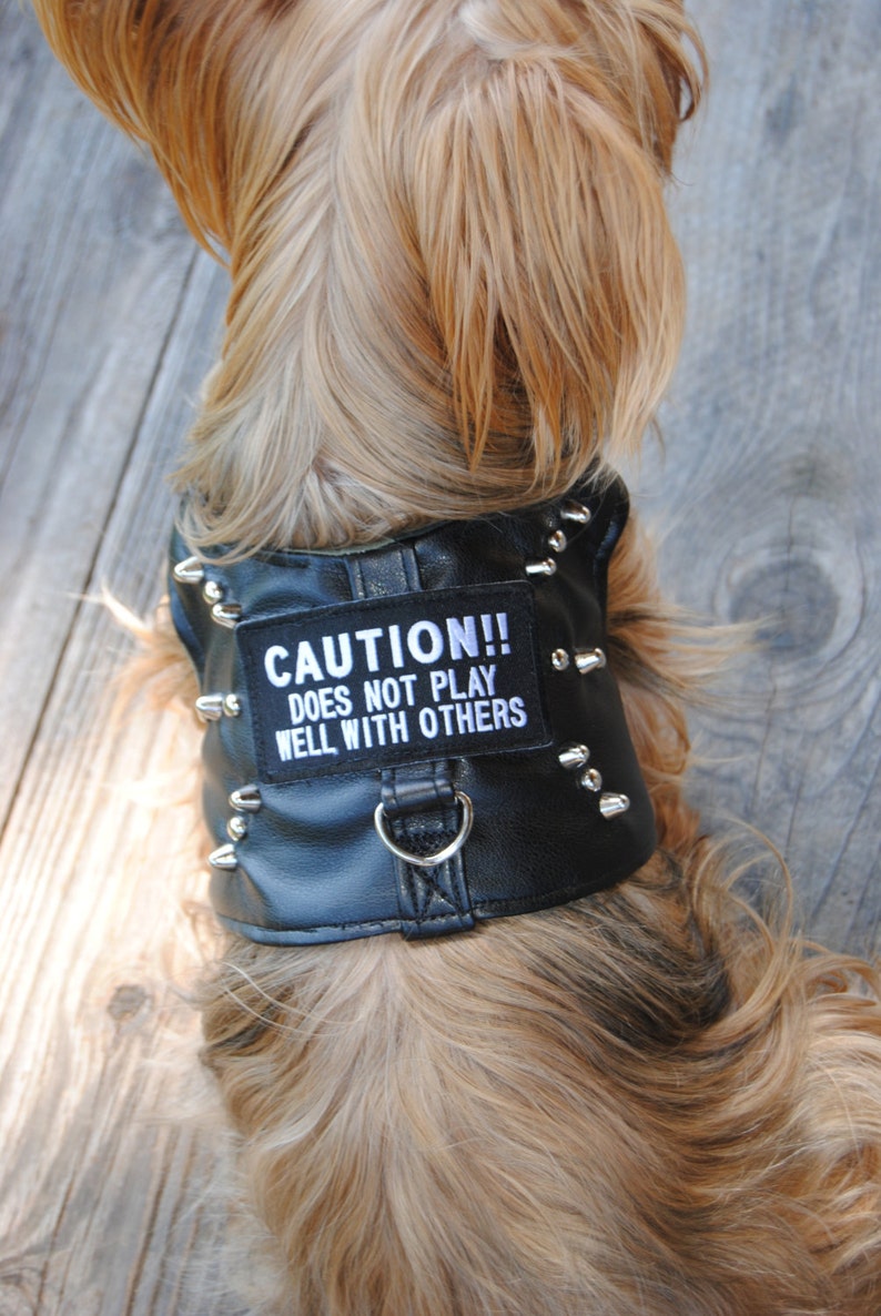 Caution Dog Motorcycle Harness Dog Park Vest Caution Dog Etsy