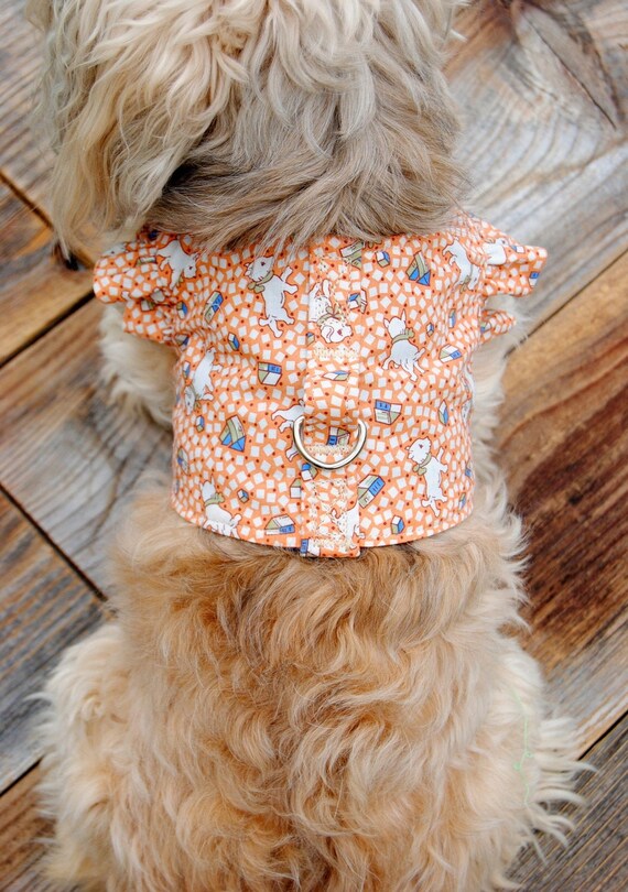 cute dog harness