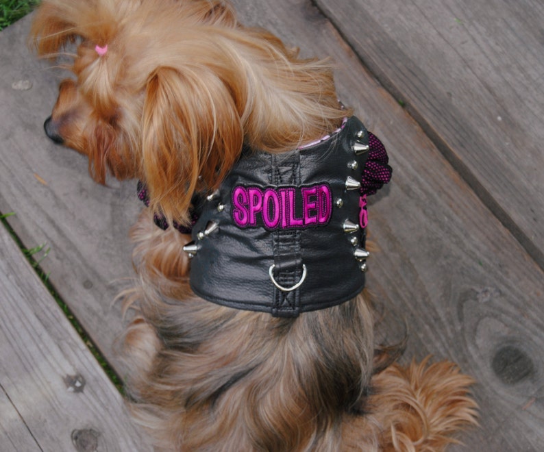 Spoiled Dog Biker Harness Harley Davidson Girl