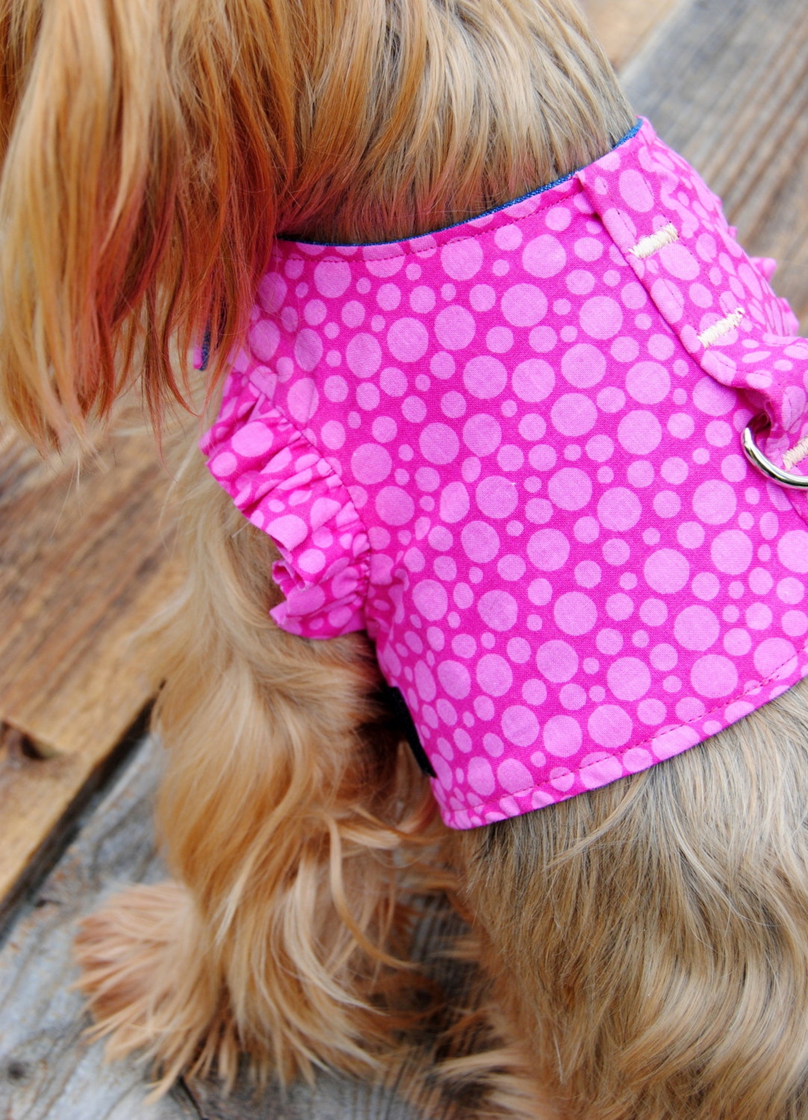 Pink Dog Harness Polka Dot Dog Harness Girly Dog Harness Etsy